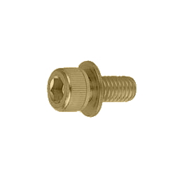 鉄 キャップP=1 クロメート