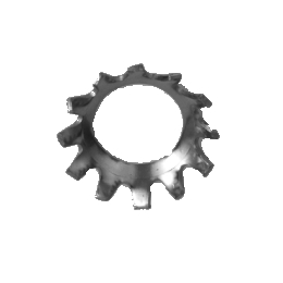 ステンレス 歯付座金(皿形)