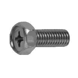 ステンレス (+)アプセット M6x55 【100個入】
